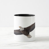 Bald Eagle Soaring Mok (Midden)