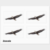 Bald Eagle Soaring Rechthoekige Sticker (Vel)