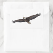 Bald Eagle Soaring Rechthoekige Sticker (Tas)