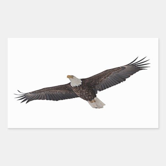Bald Eagle Soaring Rechthoekige Sticker (Voorkant)