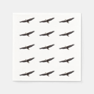 Bald Eagle Soaring Servet