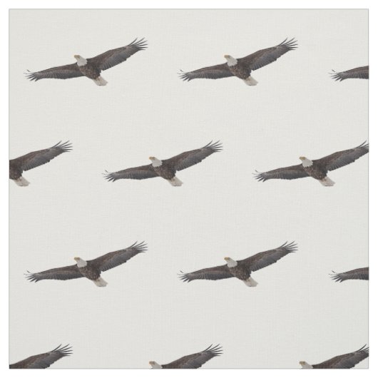 Bald Eagle Soaring Stof (Swatch)