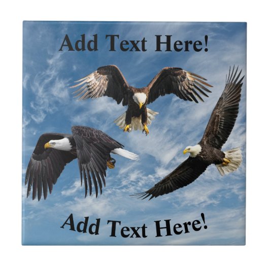 Bald Eagle Soaring Tegeltje (Voorkant)