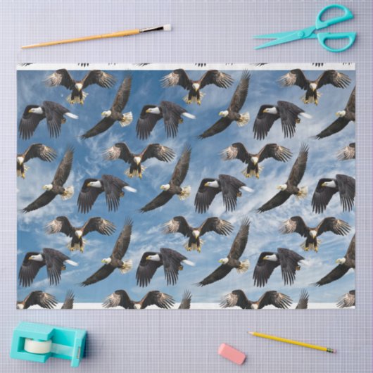 Bald Eagle Soaring Tissuepapier (Craft)