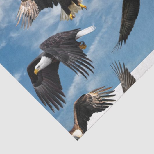 Bald Eagle Soaring Tissuepapier (Detail)
