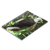 Bald Eagle Spiral Photo Notitieboek (Linkerzijde)
