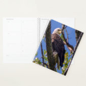 Bald Eagle Spiral Weekly/Maandelijkse Planner (Display)