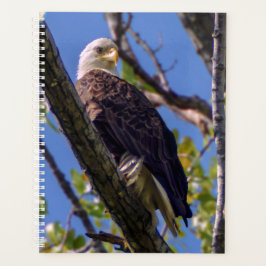 Bald Eagle Spiral Weekly/Maandelijkse Planner