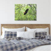 Bald Eagle Spring Flight Canvas Afdruk (Insitu (Slaapkamer))