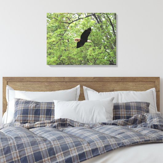 Bald Eagle Spring Flight Canvas Afdruk (Insitu (Slaapkamer))