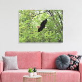 Bald Eagle Spring Flight Canvas Afdruk (Insitu (Woonkamer))