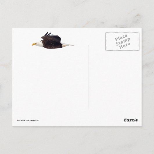 Bald Eagle Staredown Briefkaart (Achterkant)