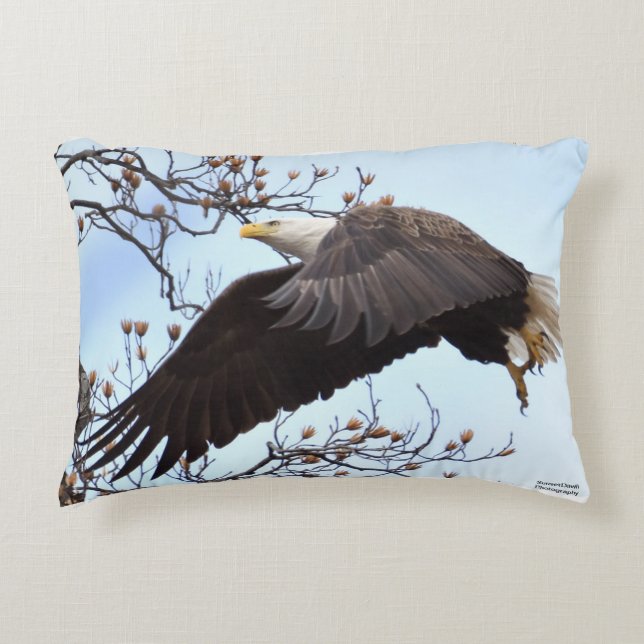 Bald Eagle start Accent Kussen (Voorkant)