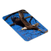 Bald Eagle-start Magneet (Rechterzijde)