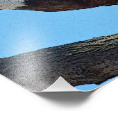 Bald Eagle start op Foto Afdruk (Hoek)