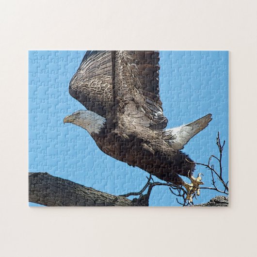 Bald Eagle start op Legpuzzel (Horizontaal)