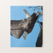 Bald Eagle start op Legpuzzel (Verticaal)