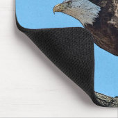 Bald Eagle start op Muismat (Hoek)