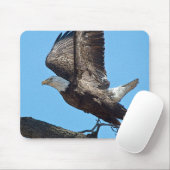 Bald Eagle start op Muismat (Met muis)