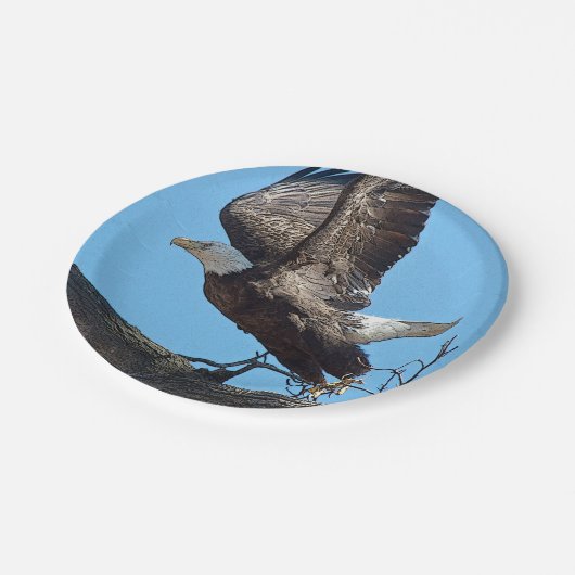 Bald Eagle start op Papieren Bordje (Gekanteld)