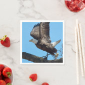 Bald Eagle start op Servet (Insitu)