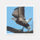 Bald Eagle start op Servet (Voorkant)