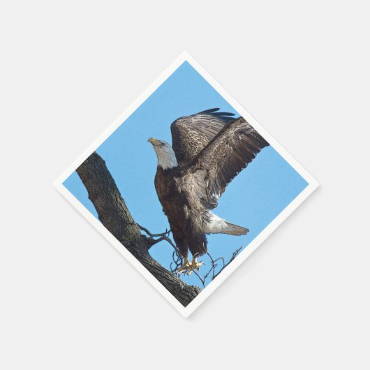 Bald Eagle start op Servet (Hoek)