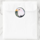 Bald Eagle Sticker (Tas)
