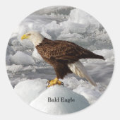 Bald Eagle sticker (Voorkant)