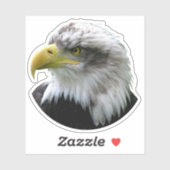 Bald Eagle Sticker (Vel)