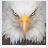 Bald Eagle Sticker (Vel)