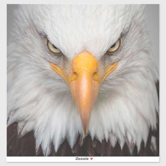 Bald Eagle Sticker (Vel)