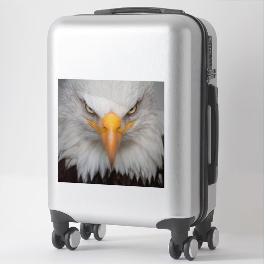 Bald Eagle Sticker (Koffer)