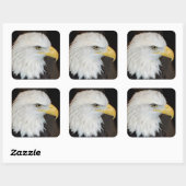 Bald Eagle Stickers (Vel)