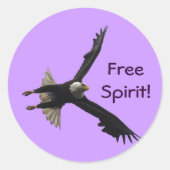 Bald Eagle Stickers (Voorkant)