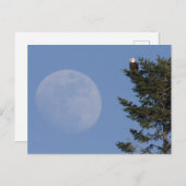 Bald Eagle | Stijgende volle maan Briefkaart (Voorkant / Achterkant)