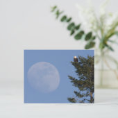 Bald Eagle | Stijgende volle maan Briefkaart (Staand voorkant)
