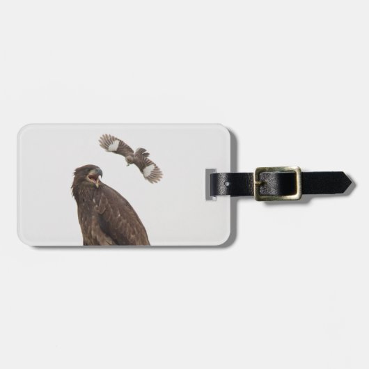 Bald Eagle - Stop met lijm. Bagagelabel (Voorkant horizontaal)