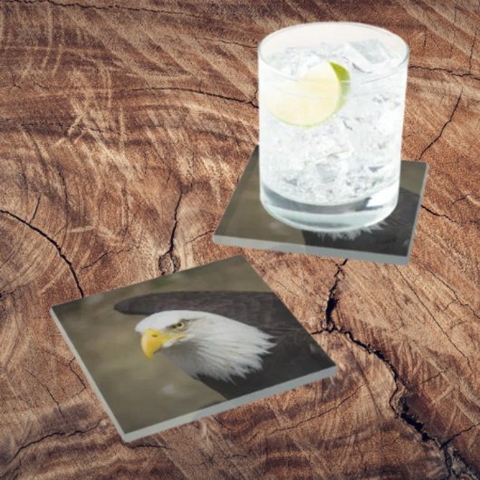 Bald Eagle Strength – Bold Coaster Set Glazen Onderzetter