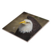 Bald Eagle Strength – Decorative Ceramic Tile Tegeltje (Zijkant)