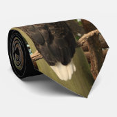 Bald Eagle Stropdas (Opgerold)