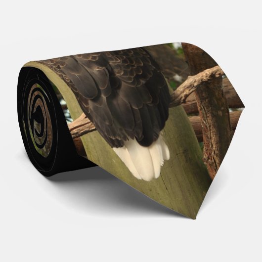 Bald Eagle Stropdas (Opgerold)