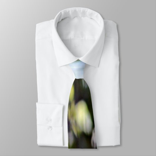 Bald Eagle Stropdas (Gebonden)