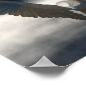 Bald Eagle Success Quote Inspirerend Poster (Hoek)