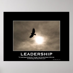 Bald Eagle & Sun LEADERSHIP Motivatie Poster