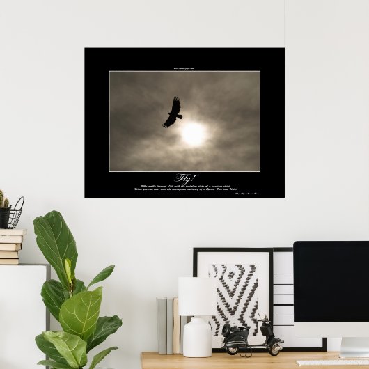Bald Eagle & Sun Photo Poster (Thuiskantoor)