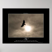 Bald Eagle & Sun Photo Poster (Voorkant)