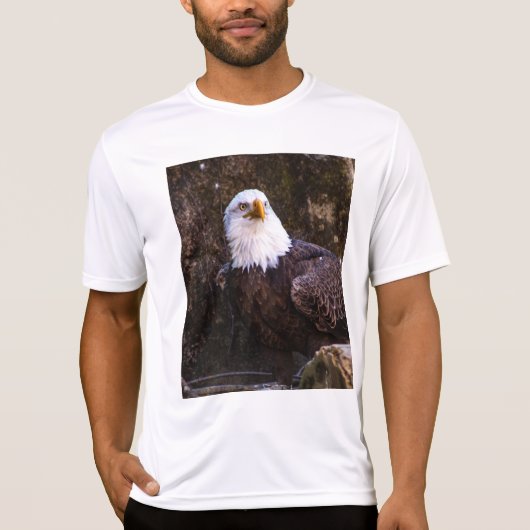 Bald Eagle T-Shirt (Voorkant)