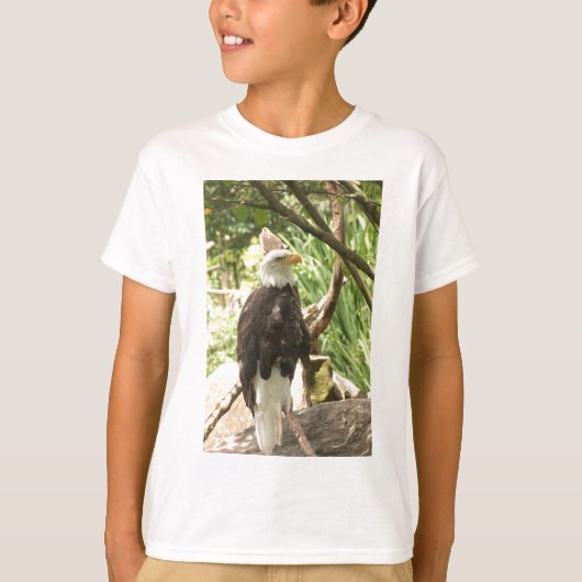 Bald Eagle T-shirt (Voorkant)