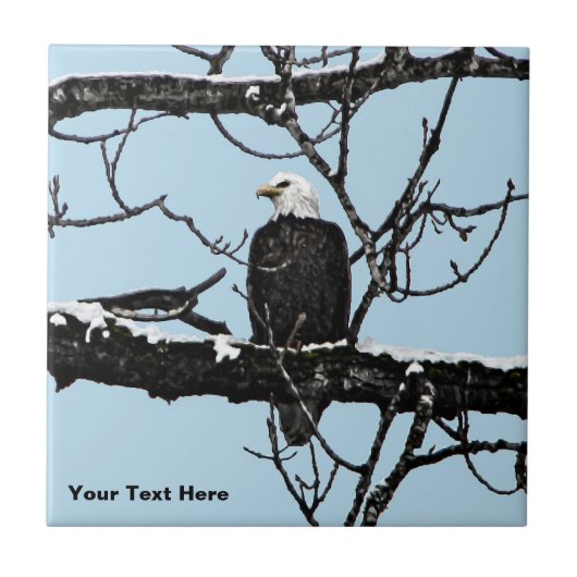 Bald Eagle Tegeltje (Voorkant)